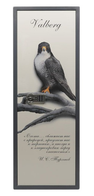 Сейф оружейный Valberg Сапсан-4.EL Print